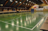 Ideale Voraussetzungen: Die Stadt Faaborg stellt den  THW-Stars ihr kommunales Sportzentrum zur Verfgung.