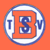 Logo von Gegnerdaten TSV Birkenau