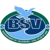 Logo von Gegnerdaten BSV Bjerringbro-Silkeborg (Dnemark)