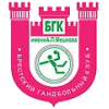 Logo von Brest HC Meshkov