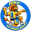 Logo von HSG Dsseldorf