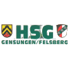 Die HSG Gensungen/Felsberg spielt seit 1997 in der 2. Liga Sd.