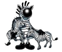 Besuch bei den Zebras!