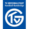 Logo von Gegnerdaten TV Großwallstadt