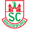 Der SC Magdeburg.