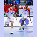 WM 2013: FRA-TUN: Wael Jallouz.